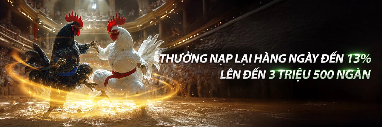 Hình ảnh chính về các chương trình khuyến mãi độc quyền từ tải m8m8